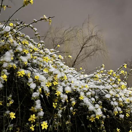 Github Dayu11 Improved Dp Sgd Improved Dp Sgd For Optimizing - Nature Photos - Beautiful 8K Collection