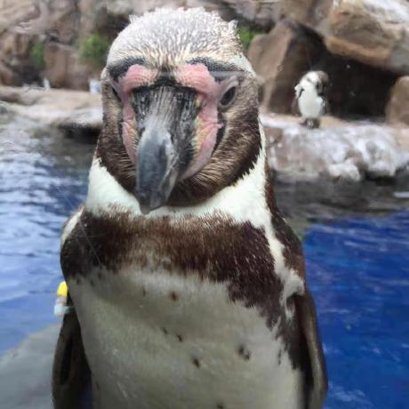 Github Lanlei Medial Elastics - Best Landscape Photos in 4K