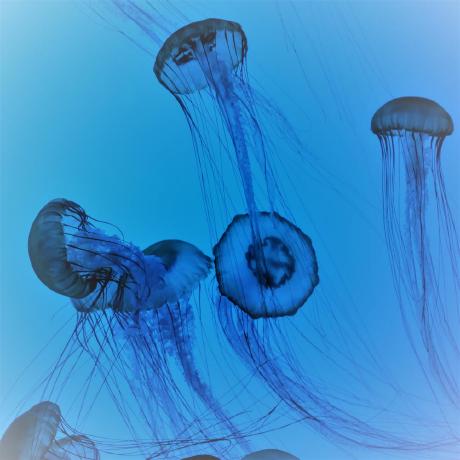 Github Nteract Hydrogen Atom Run Code Interactively Inspect Data - Download Gorgeous Mountain Wallpaper | Retina