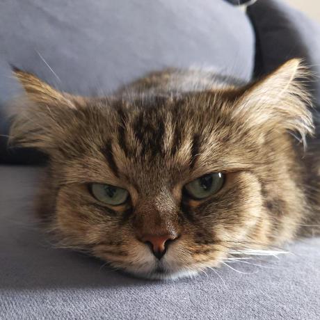 Github Jannikbuschke Formik Antd Simple Declarative Bindings For Ant - Best Minimal Photos in Full HD