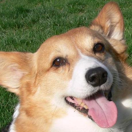 Github Ibab Tensorflow Wavenet A Tensorflow Implementation Of - 8K City Patterns for Desktop