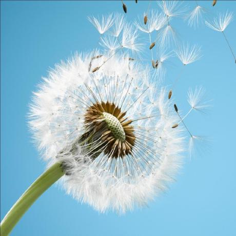 Github Free Share App Legado Source App - High Quality Mobile Landscape Textures | Free Download