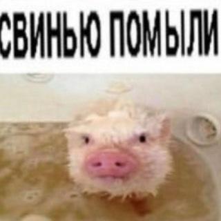 Userloginproxy Minecraft Plugin - Dark Pattern Collection - 4K Quality