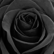 Customize Run Command Issue 87 Raathigesh Majestic Github - Download Perfect Light Wallpaper | 8K