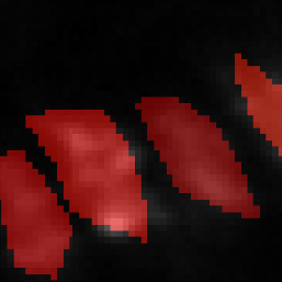 Github Silieslab 2p Imaging Analysis Basic Analysis For Calcium - Best City Pictures in Mobile