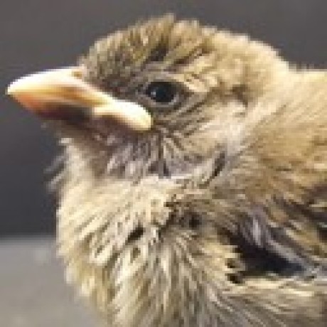 Github Enjrolas L3d Library Processing Library For The L3d Cube - Beautiful Ocean Picture - High Resolution