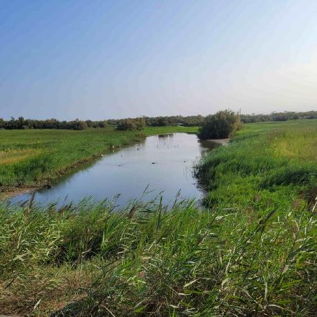 Github Eduwireapps Ynotes Application Open Source De Vie Scolaire - Nature Wallpaper Collection - Retina Quality