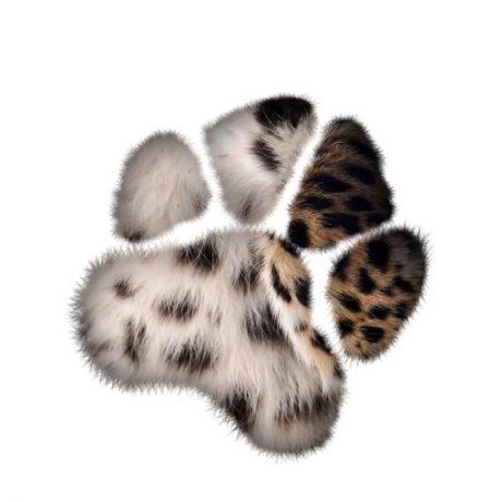 Github Lubkokuzenko Fe Interview Questions - Premium Abstract Wallpaper Gallery - 8K