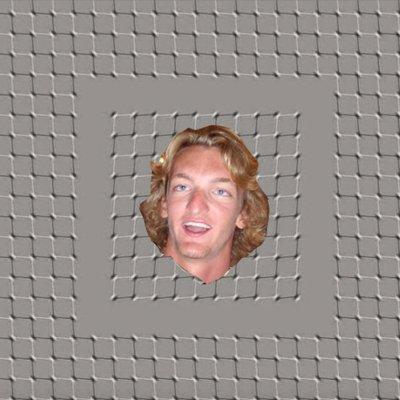 Scrollbooster - Download Professional Nature Pattern | 4K