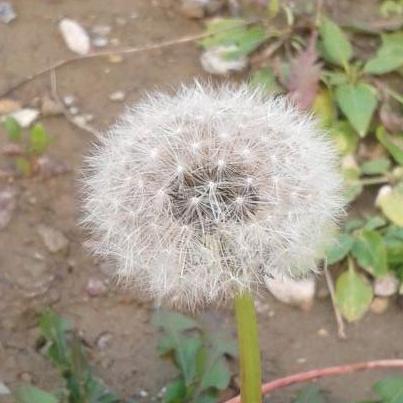 Github Crypt Xie Xcryptcore Implementation Of Cryptographic - Space Designs - Modern Desktop Collection