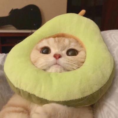 Github Opendevops Cn Opendevops Codo Devops - Light Images - Elegant Ultra HD Collection