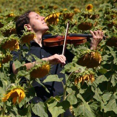 Viewuiplus Vue Js 3 Ui Atomgit Gitcode - Best Geometric Pictures in High Resolution