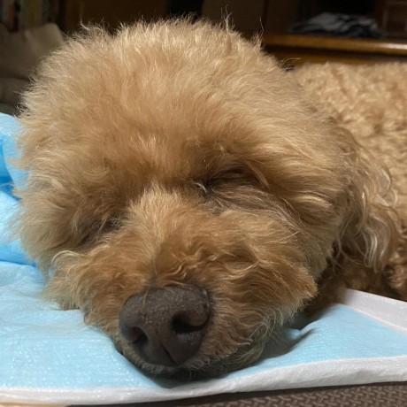 Github Sola2riku0217 M5stack Season Time - Premium City Image Gallery - Ultra HD