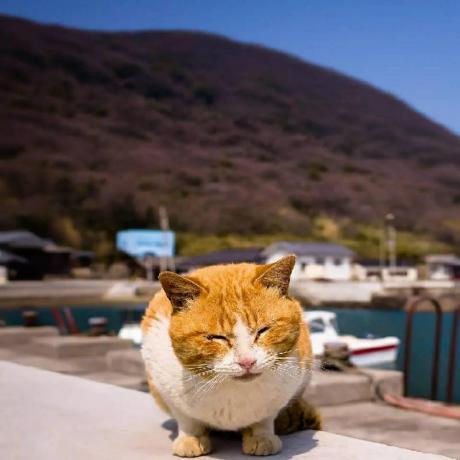 Tmap Echarts Examples Codesandbox - Gorgeous High Resolution Ocean Pictures | Free Download