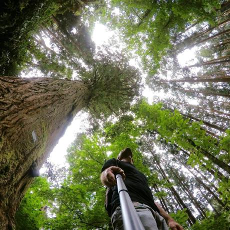 React Easy State Examples Codesandbox - Incredible Landscape Picture - Full HD