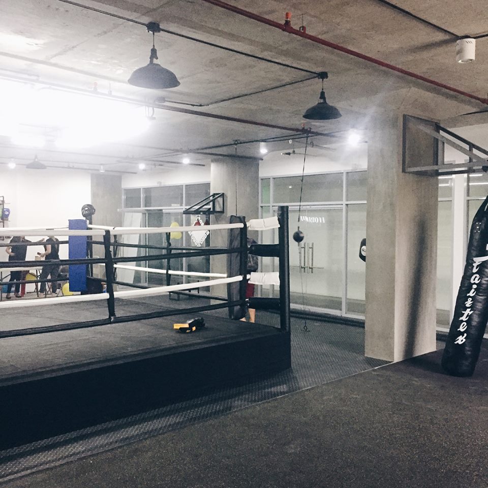 elorde 2
