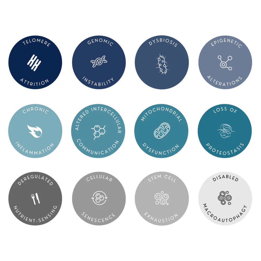 Longevity Science Avea - Mobile Space Arts for Desktop