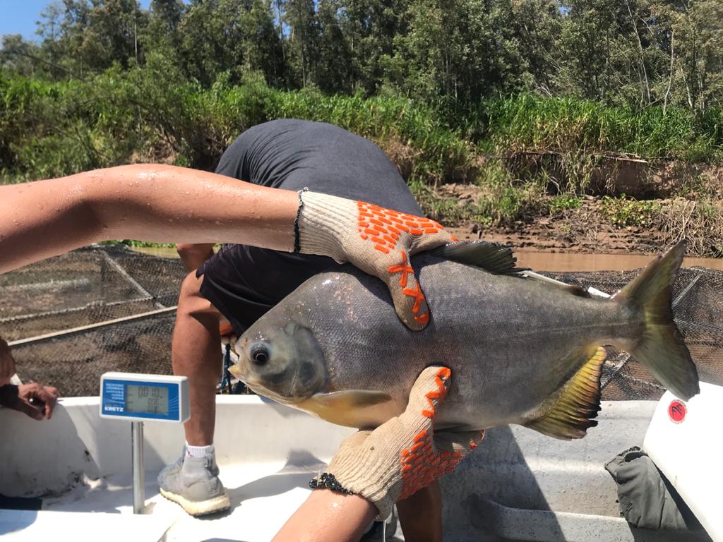 WhatsApp Image 2021-03-16 at 12.13.35