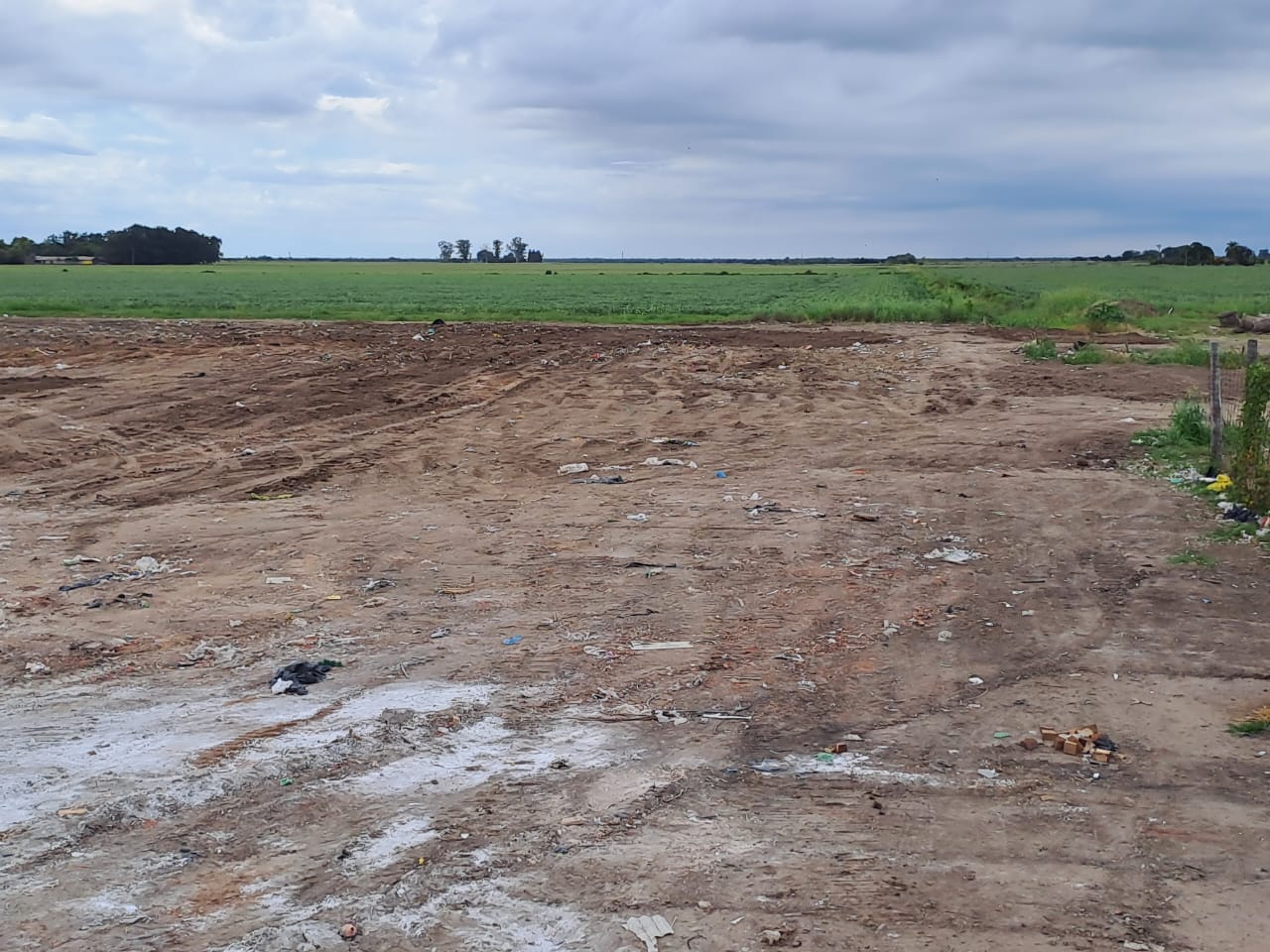 WhatsApp Image 2023-03-31 at 13.26.13 (1)