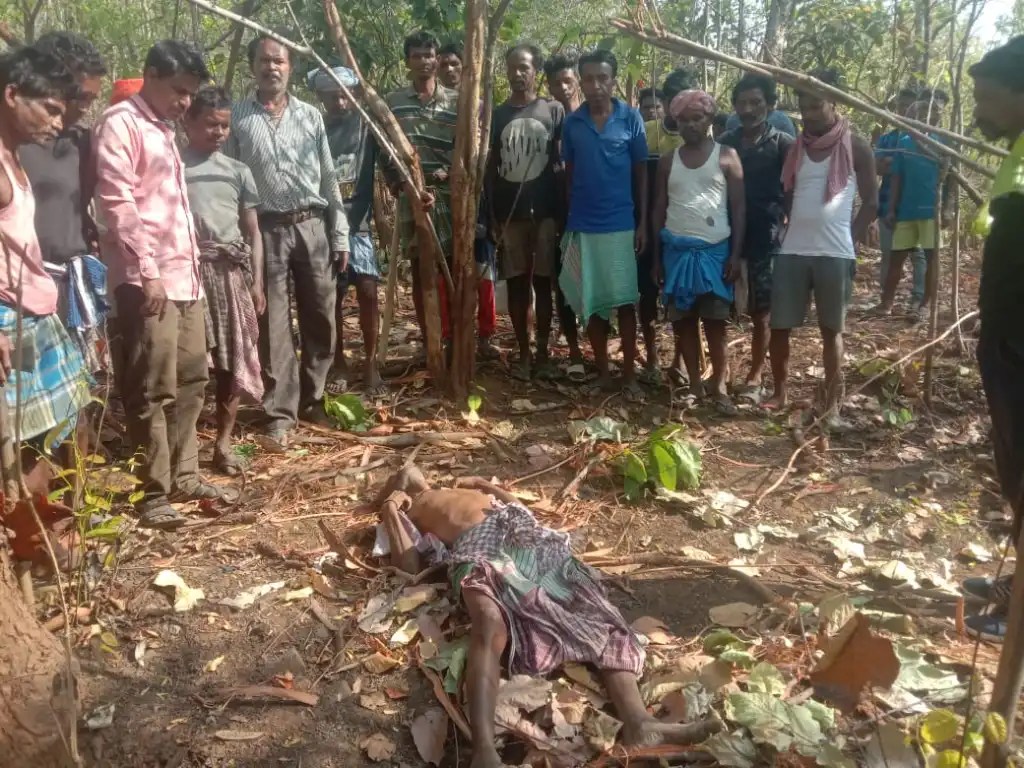Elephant kills one, injures another near Jamshedpur - Vimarsana News