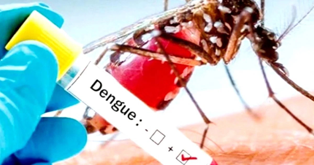 Dengue havoc in Jharkhand, four years record broken - Vimarsana News