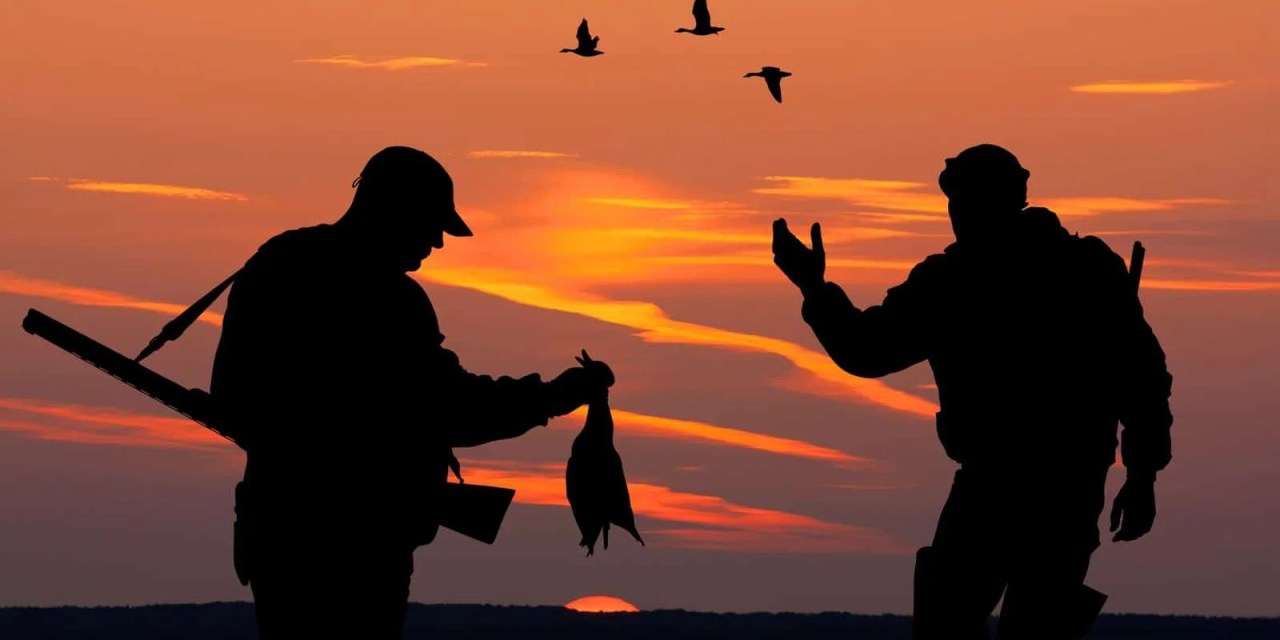 Ethical Bird Hunting Practices