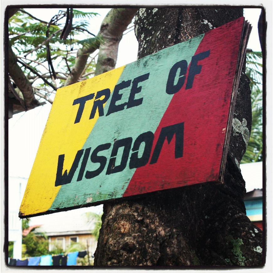Tree of Wisdom