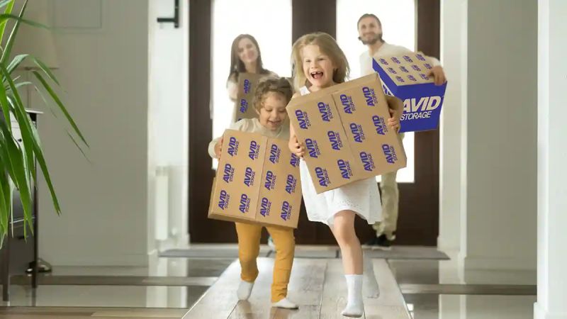 Our Story Avid - Landscape Design Collection - Retina Quality