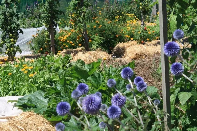 Gardeningsolutions Linktree - Abstract Art Collection - HD Quality