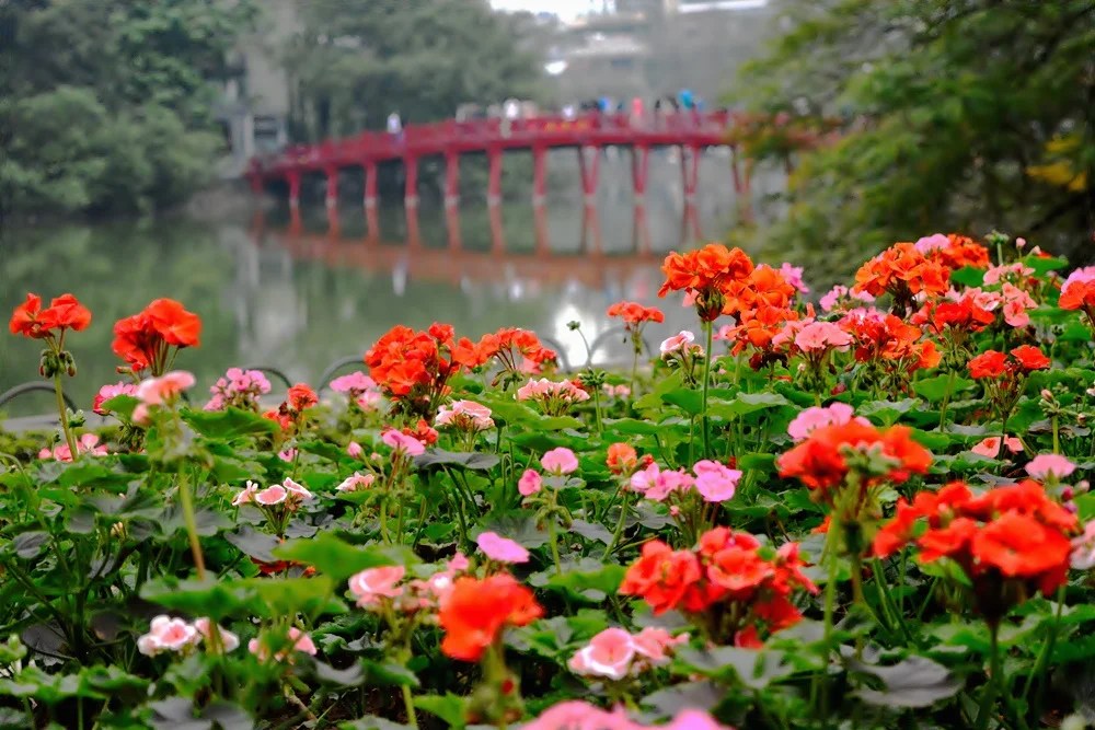 TOURIST SPOTS IN HANOI OLD QUARTER