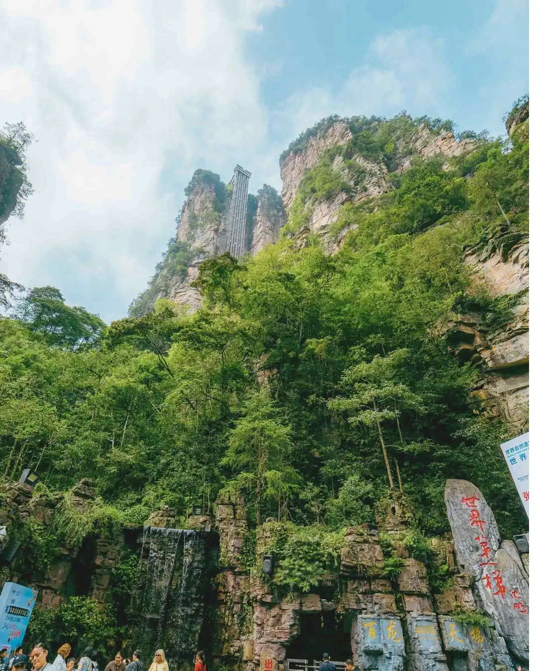 Vertical images 1 1