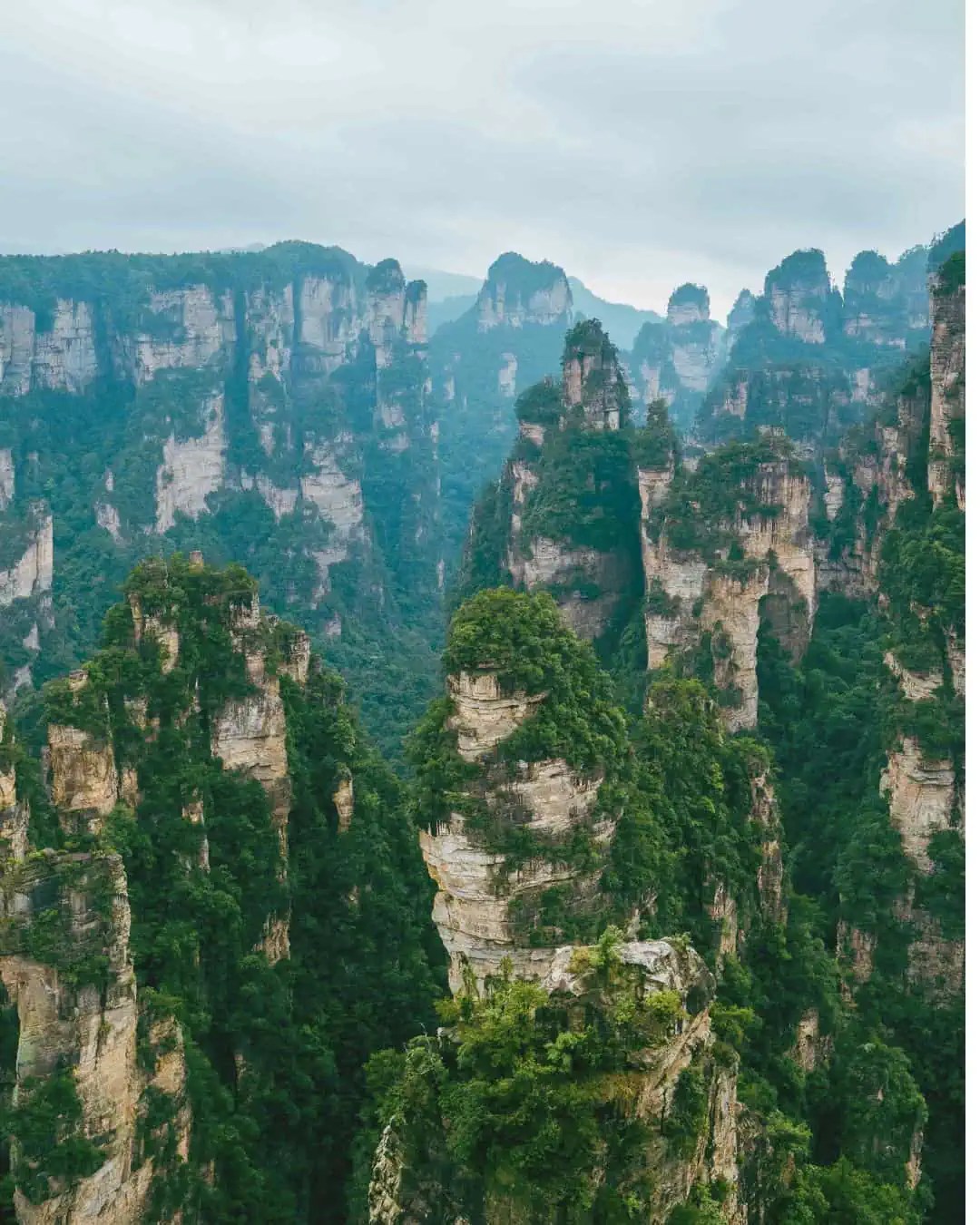 Vertical images 1 1