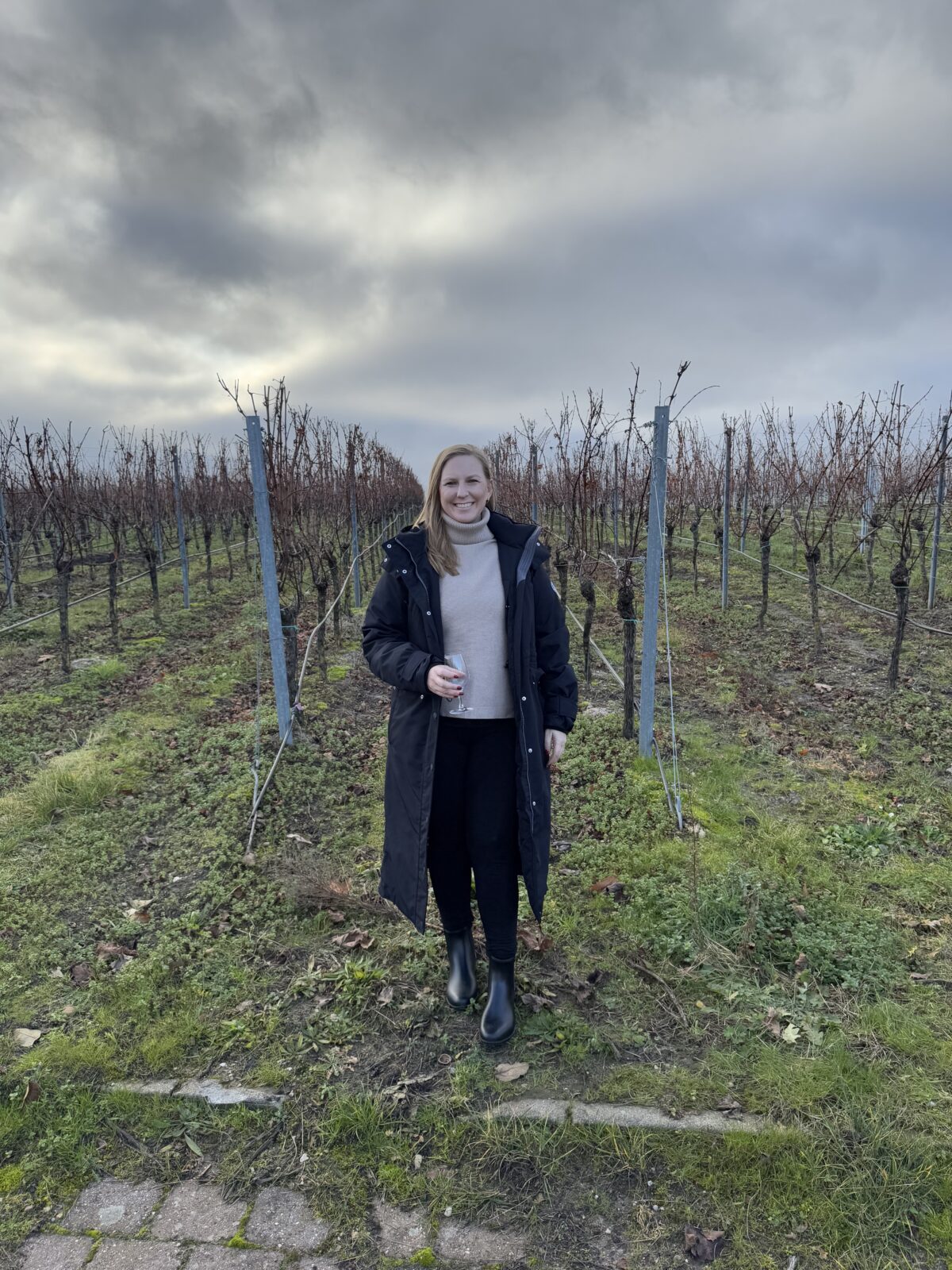 Bad Durkheim Wine tasting & Heidelberg