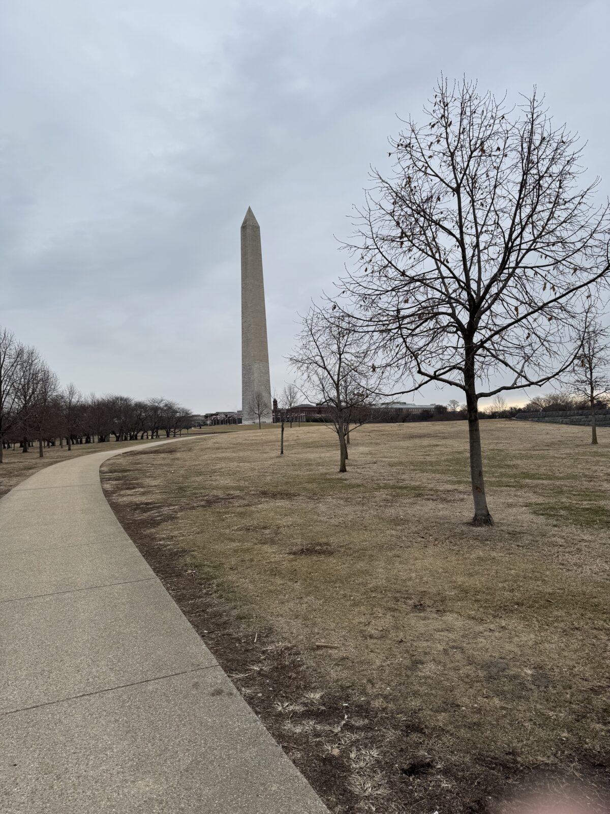 Galentines IN D.C.