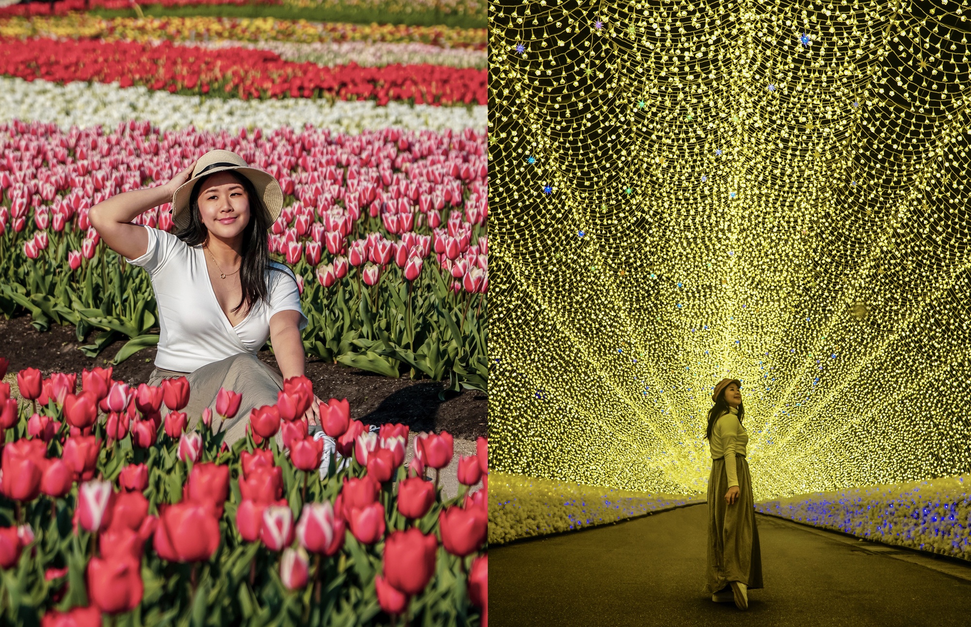 Nabano No Sato Flower Park and Winter Illumination Guide! • Awesome!