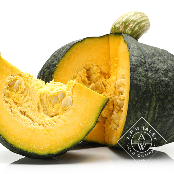 Kabocha | A.P. WHALEY, LLC