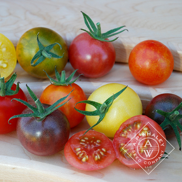 Cherry Tomato Mixture | A.P. WHALEY, LLC