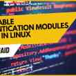 Pluggable authentication modules (PAMs) in Linux