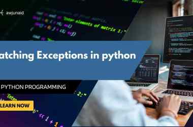 Catching Exceptions in python