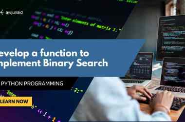 Develop a function to implement Binary Search