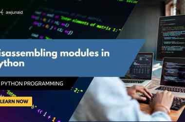 Disassembling modules in python