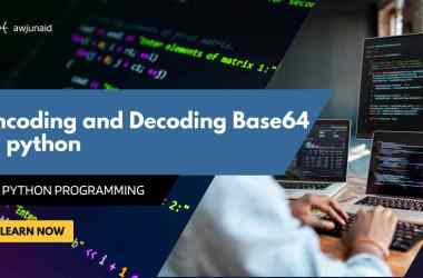 Encoding and Decoding Base64 in python