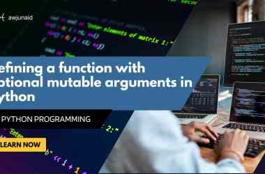 Deﬁning a function with optional mutable arguments in python