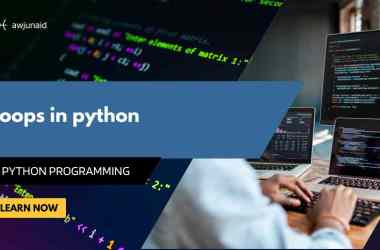 Loops in python