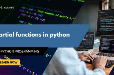 Partial functions in python