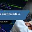 Processes and Threads in python