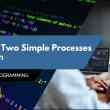 Running Two Simple Processes in python
