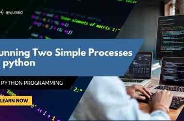 Running Two Simple Processes in python