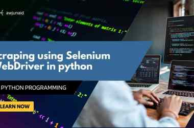 Scraping using Selenium WebDriver in python