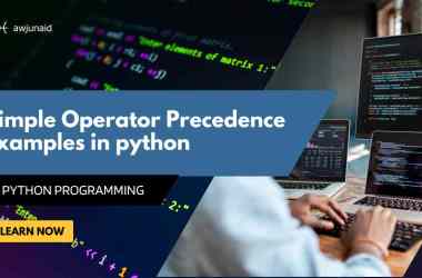 Simple Operator Precedence Examples in python